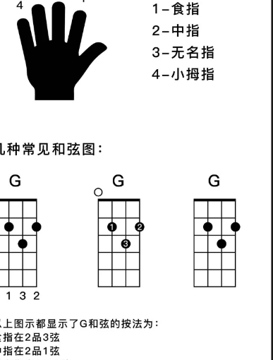  尤克里里新手的“退学关卡”：D和弦总是按不准？教你一招，从此告别闷音尴尬
